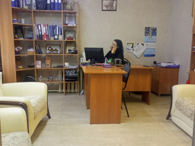 Психологический кабинет. Репродуктивная психология, психосоматика.